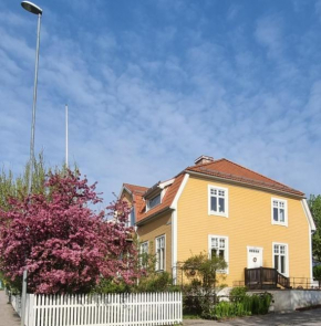 Tjädern i Centrala Söderhamn